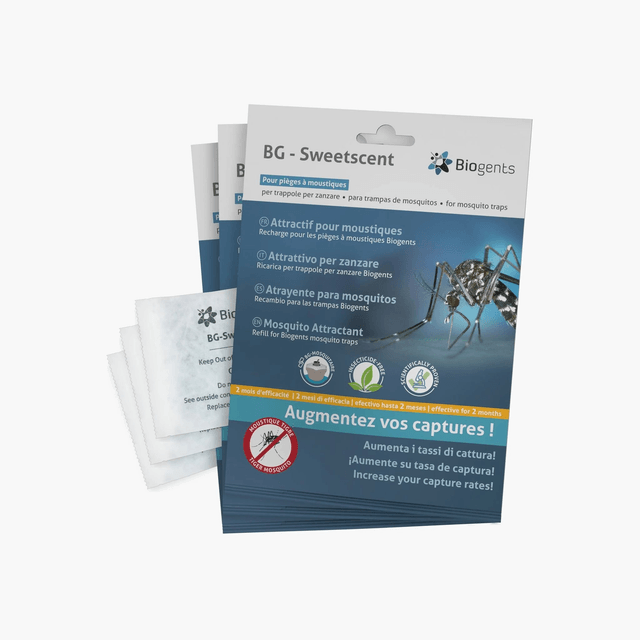 Pack saison BG-Sweetscents (lot de 3 attractifs)
