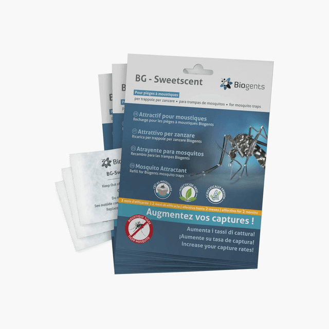 Pack saison BG-Sweetscents (lot de 3 attractifs)